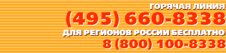   - . (495) 660-8338 ()